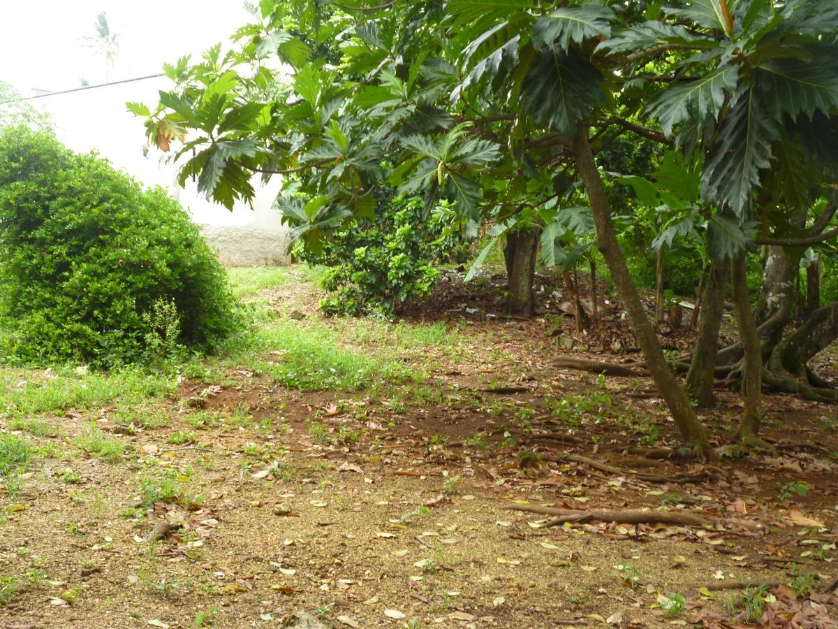 Posada Nativa Miss Casira San Andres  Bagian luar foto